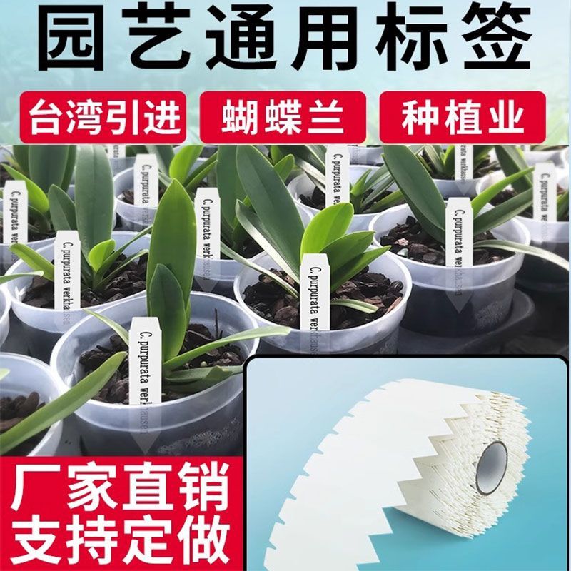 花卉标签GODEX机打连打园艺标签种植业育苗育种PVC塑料插牌兰花蝴蝶兰标识